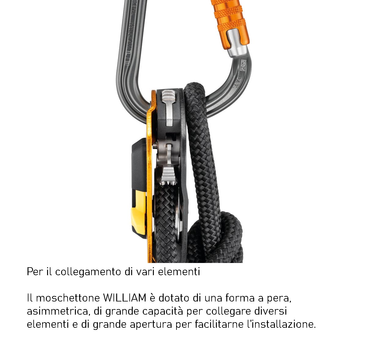 Moschettone Petzl William Triact Lock Gold - immagine 3